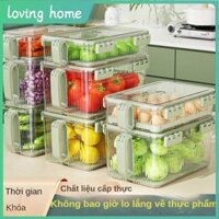 Hộp Bảo Quản Tươi, Thùng Bảo Quản Tủ Lạnh, Hộp Bảo Quản Thực Phẩm Tủ Lạnh Có Nắp, Hộp Đựng Rau Củ Quả