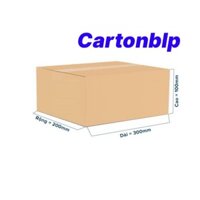 Hộp carton size 30x20x10cm bộ 50 hộp carton