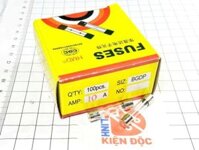 Hộp cầu chì ống thủy tinh 10A 250V 6x30mm F10AL250V (100con)