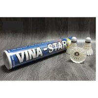 Hộp cầu lông vina stars ( hộp 12 trái) hàng chính hãng *$  :