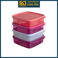Hộp cơm Tupperware Lolly Tup 550ml - Hộp đựng cơm văn phòng có chia ngăn, nhỏ gọn đa dụng