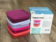 Hộp Cơm Tupperware Lolly