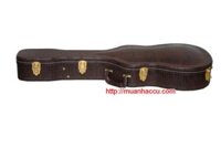 Hộp đàn guitar acoustic & classic