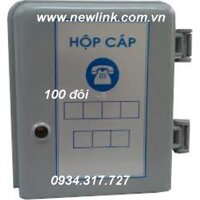 Hộp đấu nối cáp điện thoại 100 Đôi (đôi Postef- VNPT)