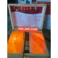 hộp đèn đá muối himalaya massage bàn chân chính hãng hàng pakistan 2 viên mặt cong 5x10 x20