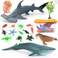 Hộp đồ chơi 18 mô hình Cá & sinh vật Biển sống động New4all Animal Ocean World Size lớn cho bé 3 tuổi
