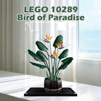 [Hộp đồ chơi dũng cảm] Hộp trưng bày lego Acrylic cho lego 10289 Bird of Paradise Popmart Figurine Labububumu Zimomo cho giày thể thao Bộ sưu tập trang sức
