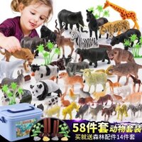 hộp đồ chơi mô hình con vật