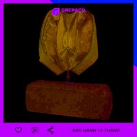 Hộp Đựng Bút Grepaco Bằng Vải Bố Canvas Tote Đẹp Nhiều Ngăn Đa Năng Dạng Túi Bóp Dụng Cụ Đồ Dùng Học Tập Học Sinh, Sinh Viên, Đồ Cá Nhân Văn Phòng Kiểu Cute Chống Xước, Chống Nước  Hàng Chính Hãng - Đen