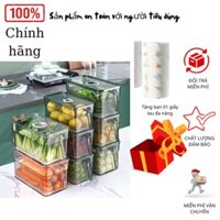 Hộp đựng đồ tủ lạnh màu xanh trong giúp nhìn thực phẩm ở bên trong,Hộp đa năng 5l đựng được tất cả các đồ ướt khô