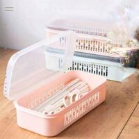 Hộp đựng đũa thìa ống đũa có nắp 2 lớp nằm ngang cao cấp  Giao màu ngẫu nhiên