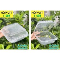 HỘP ĐỰNG GÀ, VỊT NGUYÊN CON - 50 CÁI