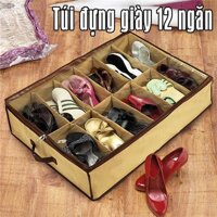 Hộp đựng giày 12 ngăn cực tiện lợi