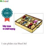 Hộp đựng giày 12 ngăn Vspecial LOẠI 1