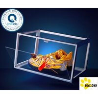 Hộp đựng giày sneaker trong suốt 6 mặt kính cao cấp Premium - Shoe box phiên bản nâng cấp chất liệu