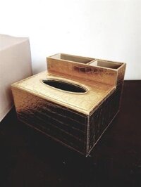 HỘP ĐỰNG KHĂN GIẤY, ĐŨA MUỖNG