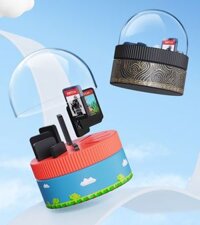 Hộp đựng thẻ nhớ SD Card bộ 10 thẻ , sáng tạo lưu trữ thẻ nhớ cho Media