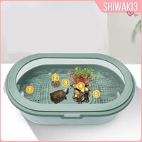 Hộp đựng thức ăn cho rùa Bể cá lưỡng cư Ếch Terrapin Lake M