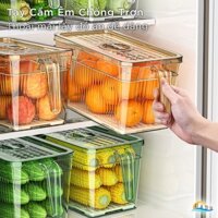 Hộp Đựng Trái Cây Hoa Quả PET Cao Cấp 6L, Xếp Chồng Tiết Kiệm Không Gian – Bảo Quản Tươi Lâu, An Toàn CCKO