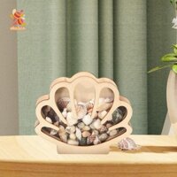 Hộp đựng vỏ Simhoa Hộp gỗ, Hộp đựng đồ trang trí Hộp đựng đá trong suốt, Hộp đựng