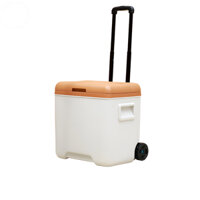Hộp đựng xe đẩy hộp cách nhiệt thùng đá 30L