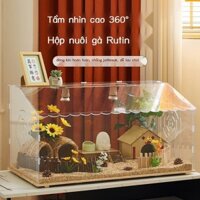 Hộp giống acrylic cho gà, chuồng gà Ludin, nhà nuôi gà, cabin cảnh quan hoàn chỉnh