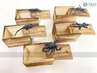 Hộp gỗ đồ chơi hù dọa con nhện bọ cạp đen HLW-ĐCH-01