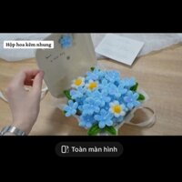 Hộp Hoa Kẽm Nhung Handmade Size To Quà Valentine 14/2