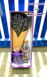 Hộp hoa lavender khô Combo( Ms 03)