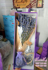 Hộp hoa lavender khô ComBo( Ms 01)