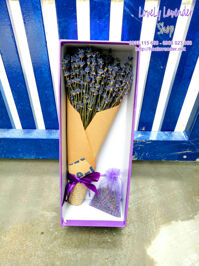 Hộp hoa lavender( MS 04)