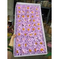 Hộp Hoa sáp cúc Dalia, Hoa sáp thơm ( hộp 50 bông không kèm cành ) Hàng loại 1