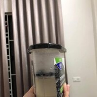 Hộp hút ẩm thái lan