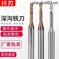Hợp kim thép vonfram Đường kính vi mô Máy cắt móc sâu cổ dài 2 lưỡi dao Lưỡi dao phay chống rỗng kéo dài 0,2 0,3 0,5 0,6 0.