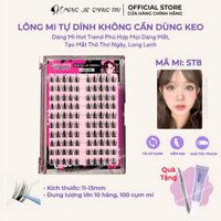 Hộp Lông Mi Giả Thỏ Barbie Tự Dính MENG JIE SHANG PIN Mã ST8