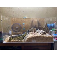 Hộp Lồng Mica Trong Nuôi Chuột Hamster Bò Sát Thú Cưng Cỡ Lớn Giá Rẻ