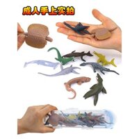 Hộp lưu trữ mô phỏng cổ xưa, mô hình khủng long biển, đồ chơi plesiosaur, rồng giả tưởng, quà tặng trẻ em bằng nhựa