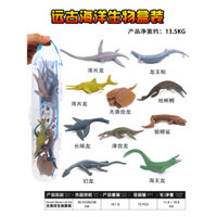 Hộp lưu trữ mô phỏng cổ xưa, mô hình khủng long biển, đồ chơi plesiosaur, rồng giả tưởng, quà tặng trẻ em bằng nhựa
