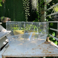 Hộp mica 60cm KHÔNG PHỤ KIỆN nuôi ốc mượn hồn, ốc rụt rè, dã tràng, cua ẩn sỉ, hermitcrab