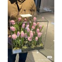 Hộp mica trong suốt quà tặng kích thước 15-15-15cm