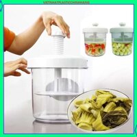 Hộp Muối Dưa Cà Tiện dụng Lọ muối dưa cà Ủ Kimchi Việt Nhật Plastic - Hộp muối dưa cà