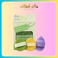 Hộp mút bọt biển rửa mặt AMORTALS rửa mặt sạch sâu cho mọi loại da