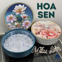 Hộp mứt, hộp mức hình hoa sen hồng, hình hoa mẫu đơn 6 ngăn chưa màu hồng và xanh 2025