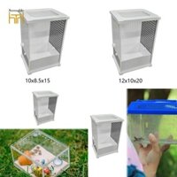 Hộp nhân giống bò sát Hộp nhân giống bọ ngựa Acrylic Bò sát Terrarium Bao vây nở Hộp đựng cho rắn