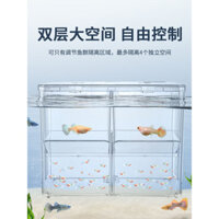 Hộp nhân giống cá bảy màu, bể cá betta, hộp cách ly acrylic, phòng ấp trứng cá con