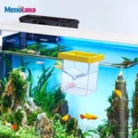 Hộp nhân giống Hộp vuông Acrylic Hatchery cho cá hề Guppy Betta