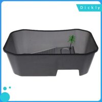 [Hộp nhân giống rùa Terrapin bò sát Vivarium Terrarium