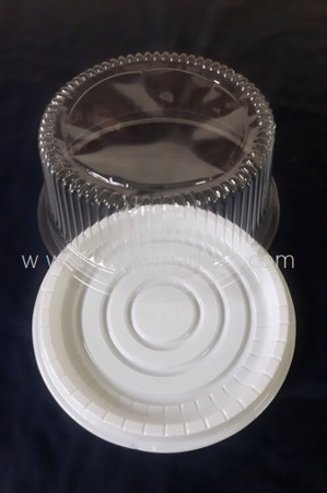 Hộp nhựa đế trắng A022