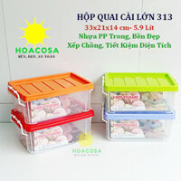 Hộp Nhựa Đựng Đồ Mini 5.9L- Quai Cài, Nhựa Trong, Cứng Cáp, Tiện Dụng