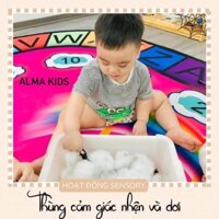 Hộp Nhựa Đựng Đồ  - Thùng Sensory